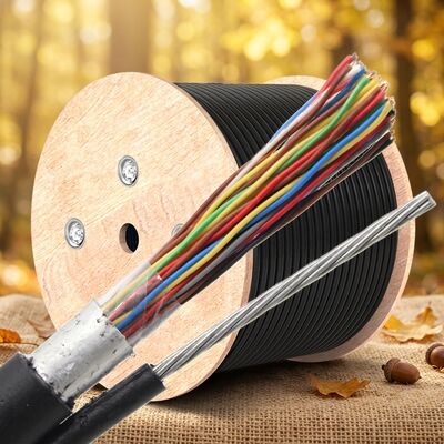 Cat3 OUTDOOR Telefonkabel mit Stahldraht 100 Paar 200 Paar 50 Paar